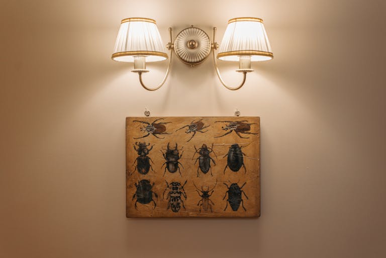 A vintage insect illustration displayed under a classic double lamp, perfect for interior décor inspiration.